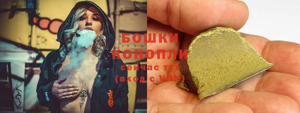 гидра Арсеньев