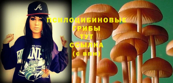 молекула духа Армянск