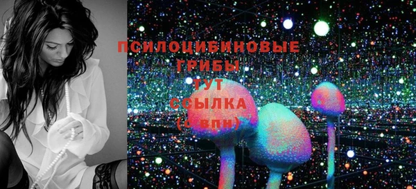 молекула духа Армянск